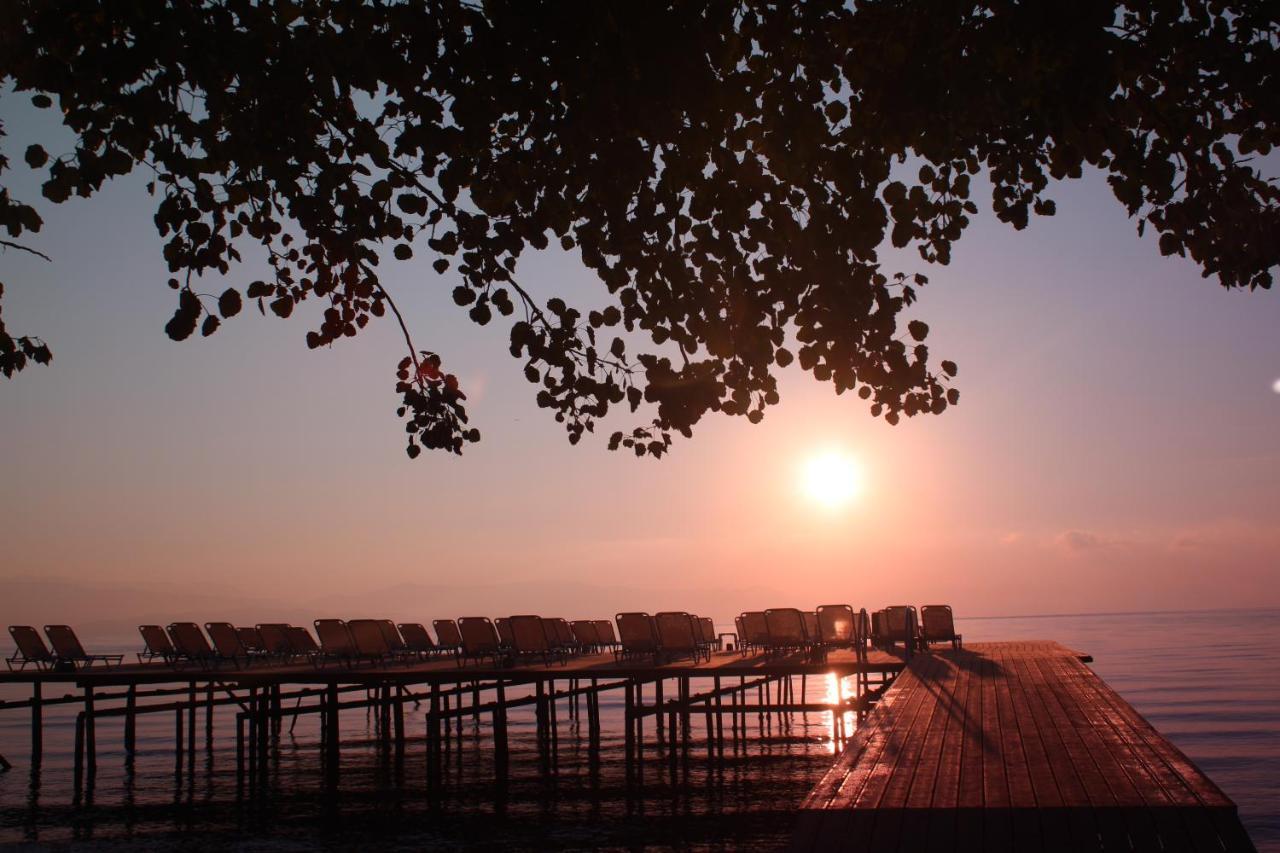 Dassia Beach Hotel מלון דאסיה